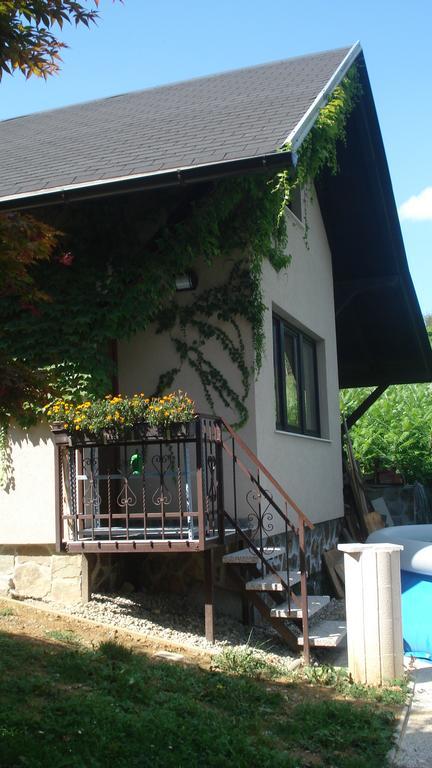 Wine & Nature & Tour Zgornji Leskovec ภายนอก รูปภาพ