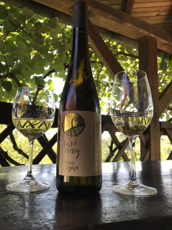 Wine & Nature & Tour Zgornji Leskovec ภายนอก รูปภาพ