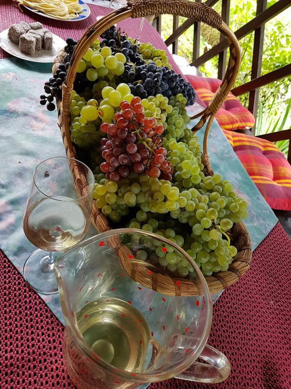 Wine & Nature & Tour Zgornji Leskovec ภายนอก รูปภาพ